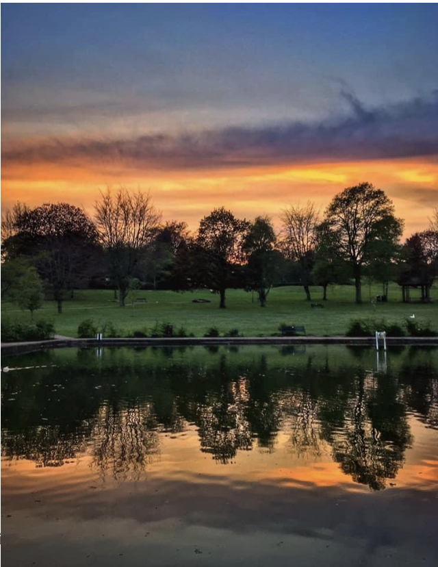 Hummingbird bridge - a bridge between earth and ether